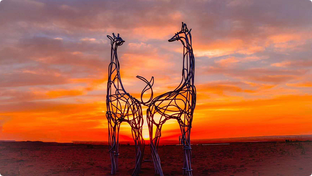 武威研学线路:大漠风情体验游