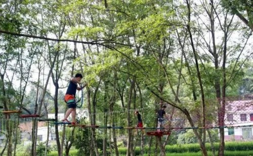 20190425133265.jpg 11.jpg