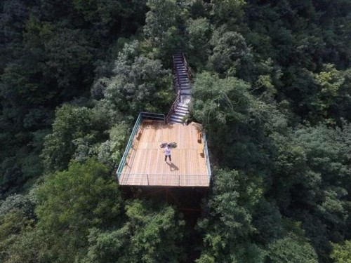 20190425290287.jpg 39.jpg