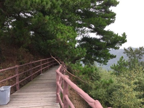 20190425336370.jpg 40.jpg