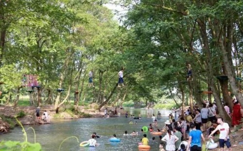 20190425972769.jpg 10.jpg