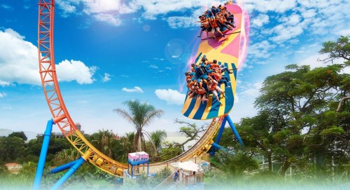 20190522150980.jpg 1.jpg