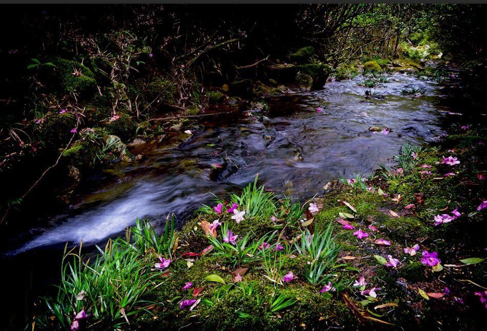 20190701101739.png 微信图片_20190701090744.png