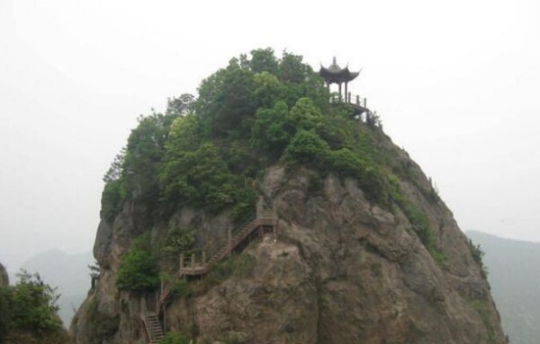 20190712802460.jpg 1.jpg