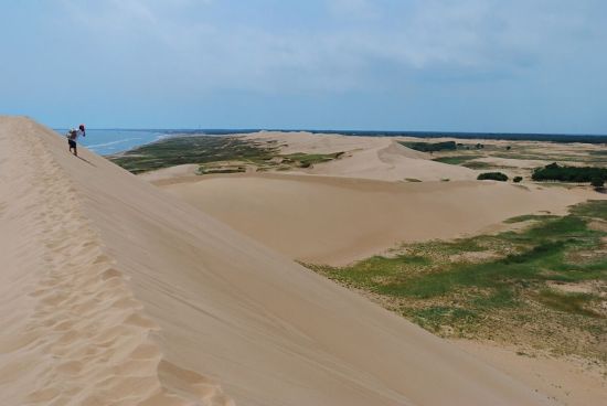 20190815851655.jpg 10.jpg