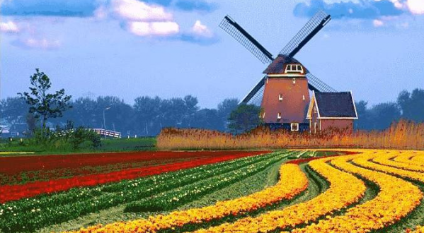 20190827826614.png 大风车.png