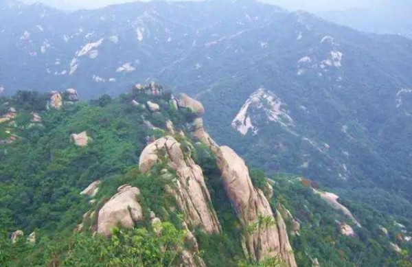 20191111542872.jpg 2.jpg