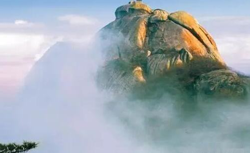 20191111577163.png 1 (2).png