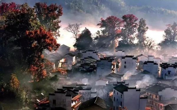 20191120501188.jpg 4.jpg