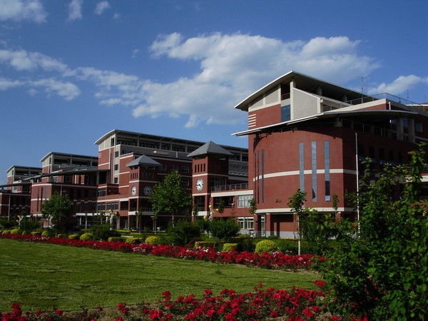 20191209714266.jpeg p00106588.jpeg