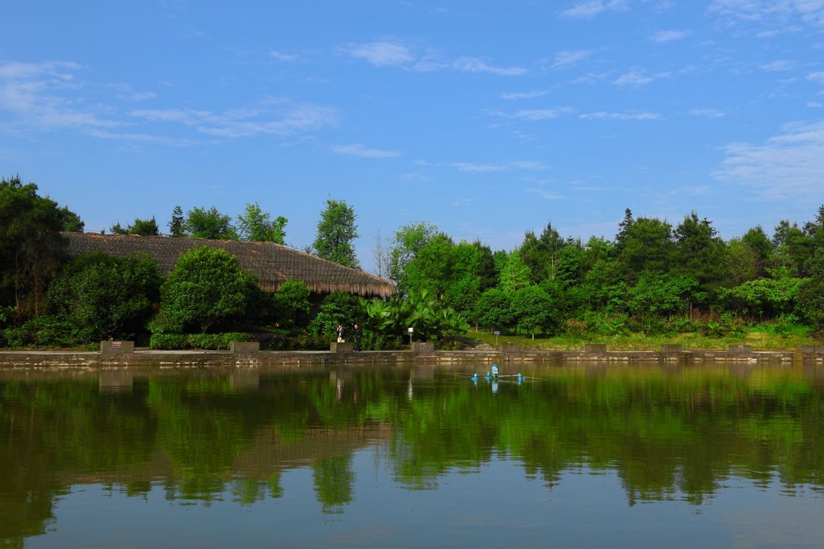 20200108811377.jpg timg.jpg