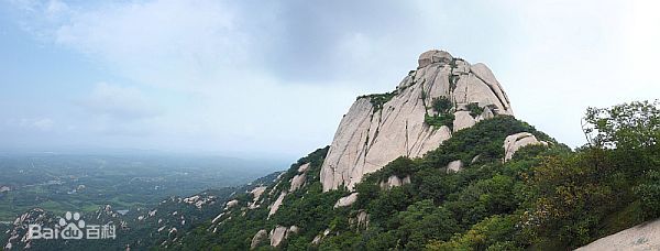 20200427793632.jpg b3119313b07eca80941960029b2397dda1448333.jpg