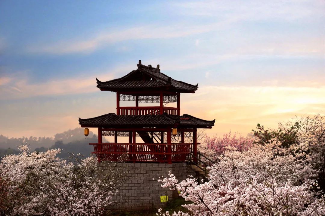 20200428605385.jpeg 20200326957049.jpeg