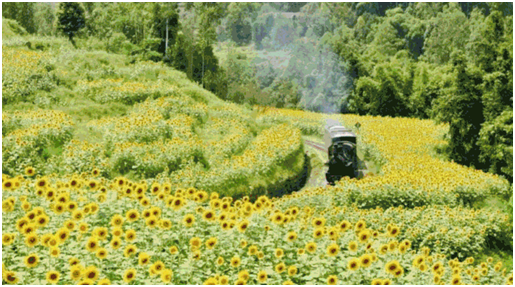 易景通助力景区上线智慧票务系统