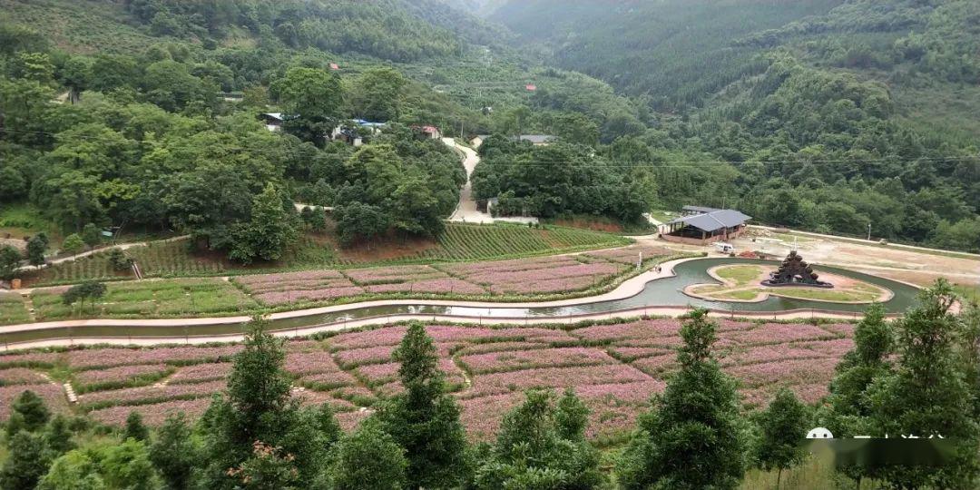 20200813643989.jpg 微信图片_20200813170650.jpg