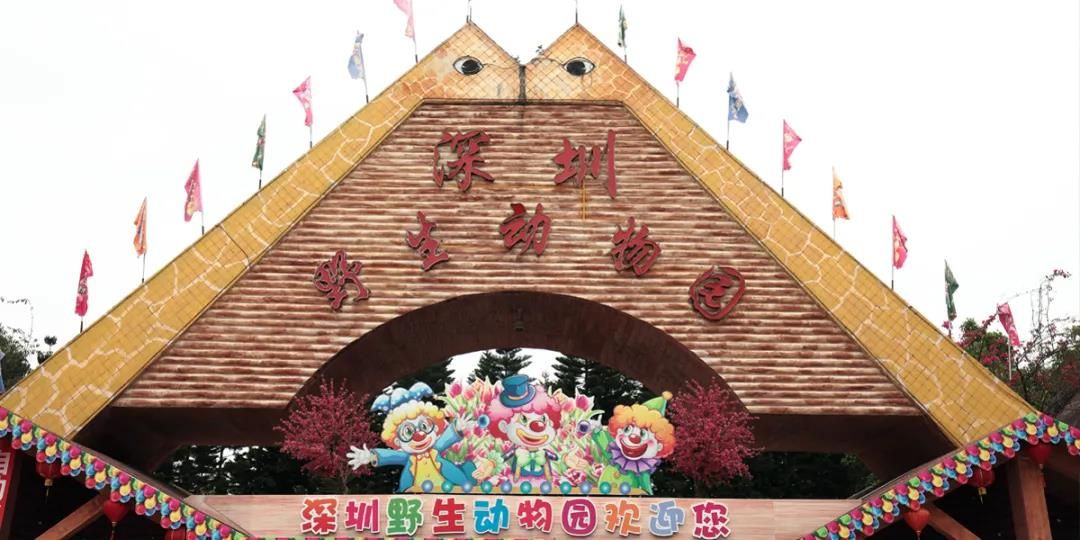 20201216913336.jpg 10.jpg