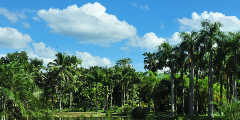 旅游景区营销方案:知识营销 旅游景区营销方案:知识营销