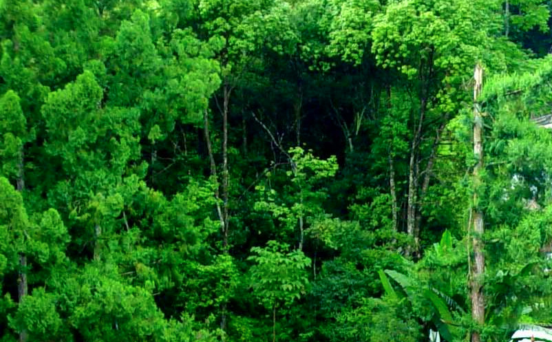 1637820155578131.png 图片.png