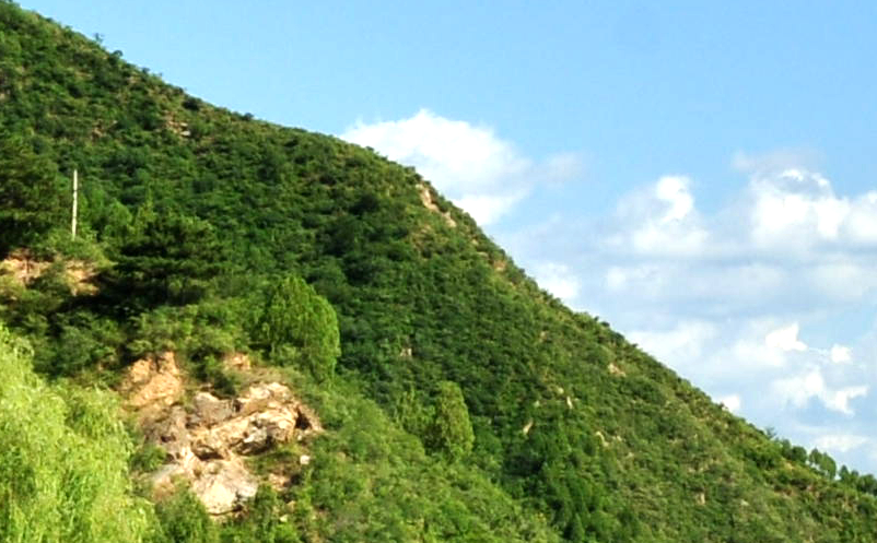 1639102122759050.png image.png