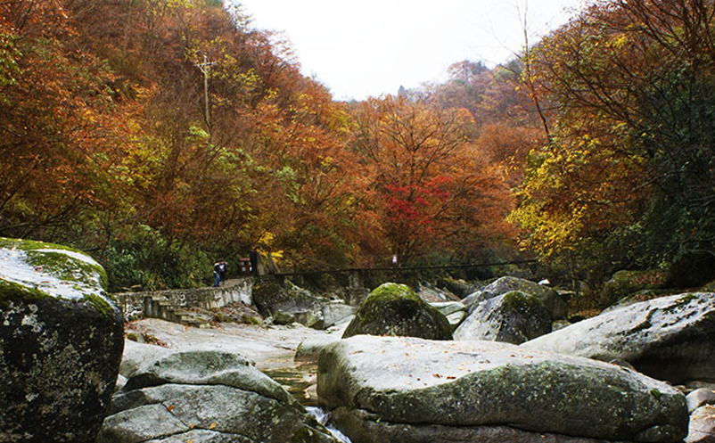 景区营销主体应该多元化 景区营销主体应该多元化
