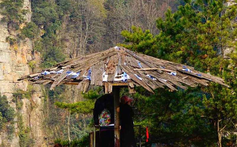 沉浸式旅游项目为何受到追捧 沉浸式旅游项目为何受到追捧
