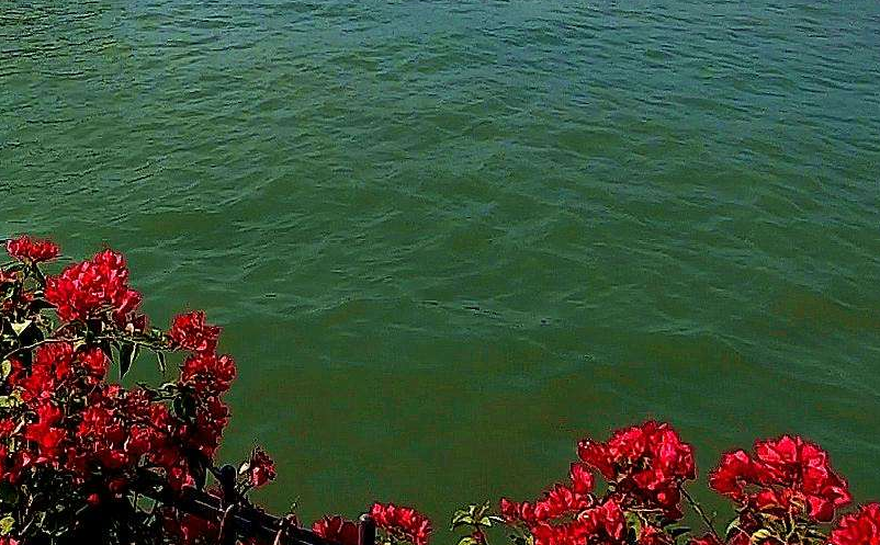 “景区+剧本杀”或成景区发展的下一个风口 “景区+剧本杀”或成景区发展的下一个风口