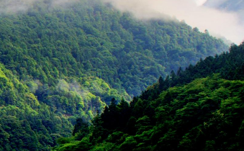 通过抖音对景区营销推广 通过抖音对景区营销推广