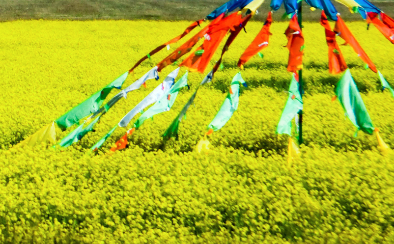 青海湖景区的淡季营销策略 青海湖景区的淡季营销策略
