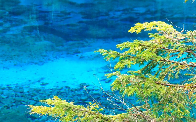 1640841516619685.png image.png