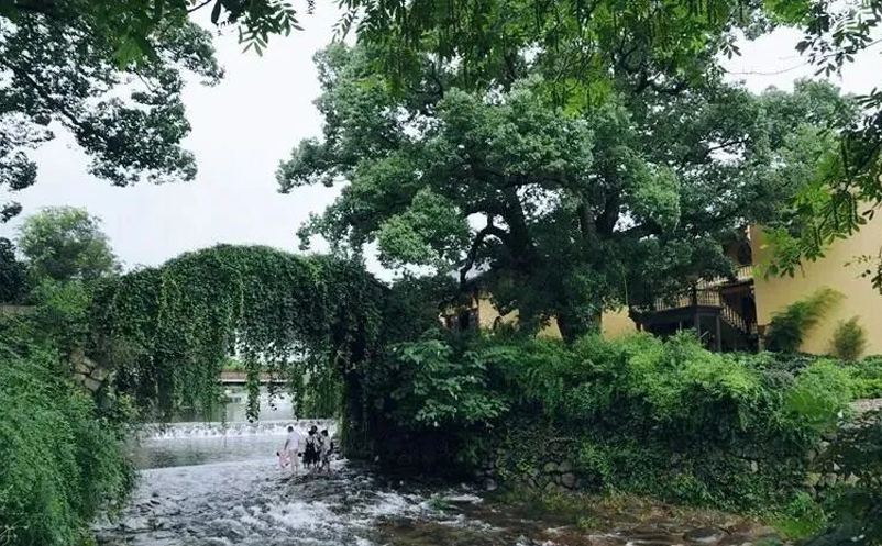 1641353827293582.png image.png