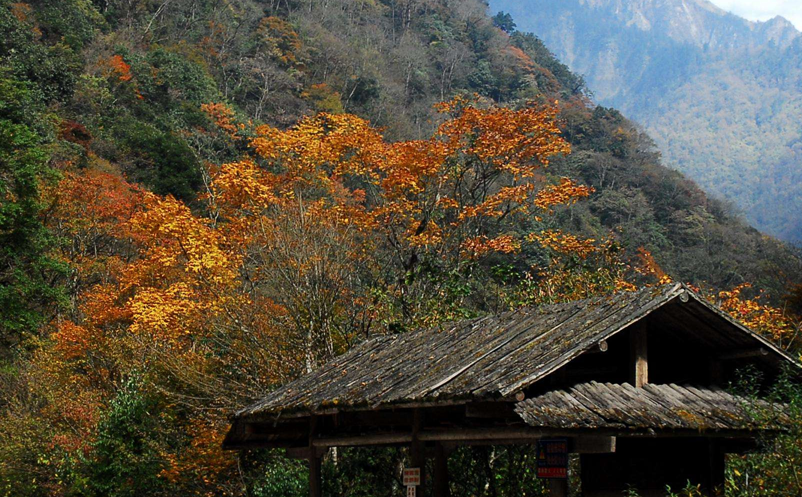 1641806147933725.png 图片.png