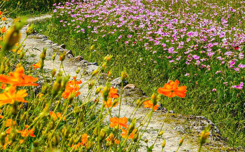 智慧旅游营销策略 智慧旅游营销策略