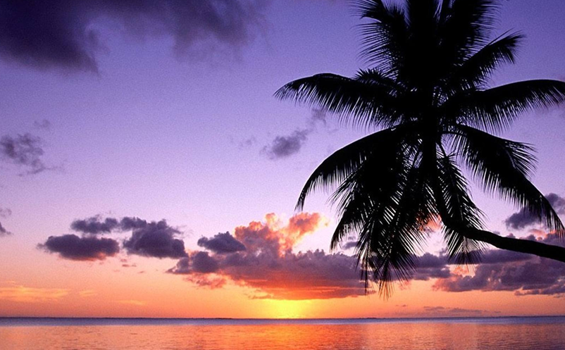 1642050644137547.png image.png