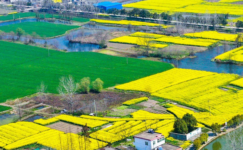 1642398114630072.png image.png