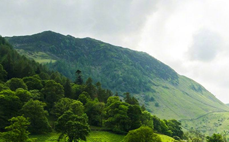 智慧旅游需要数字乡村提质增效 智慧旅游需要数字乡村提质增效g