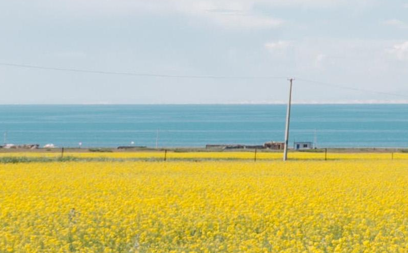 数字乡村 数字乡村