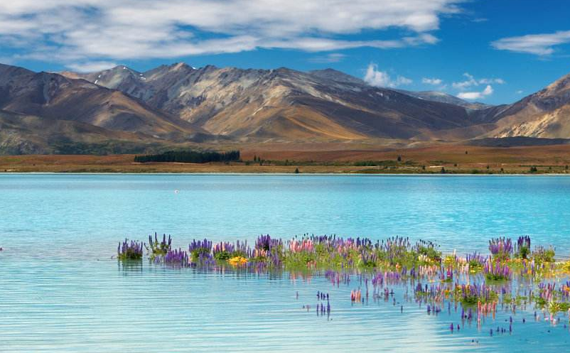 景区新型营销模式 景区新型营销模式