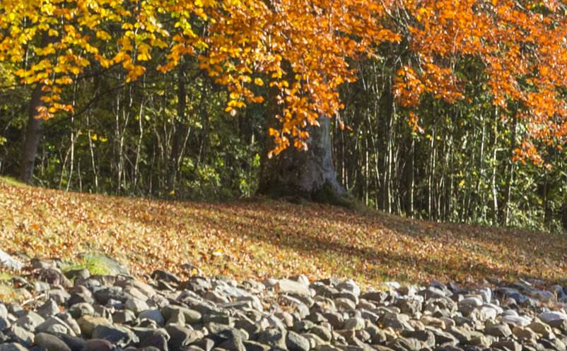 景区营销组织方案 景区营销组织方案