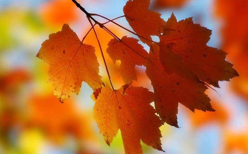 景区新媒体营销 景区新媒体营销