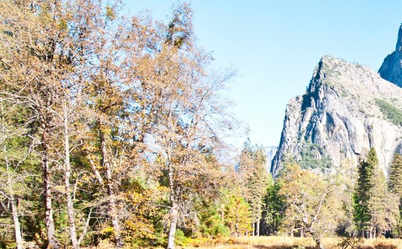 景区整合营销 景区整合营销