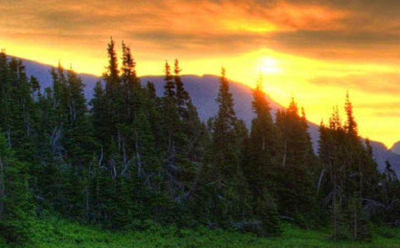 1644903839188687.png image.png