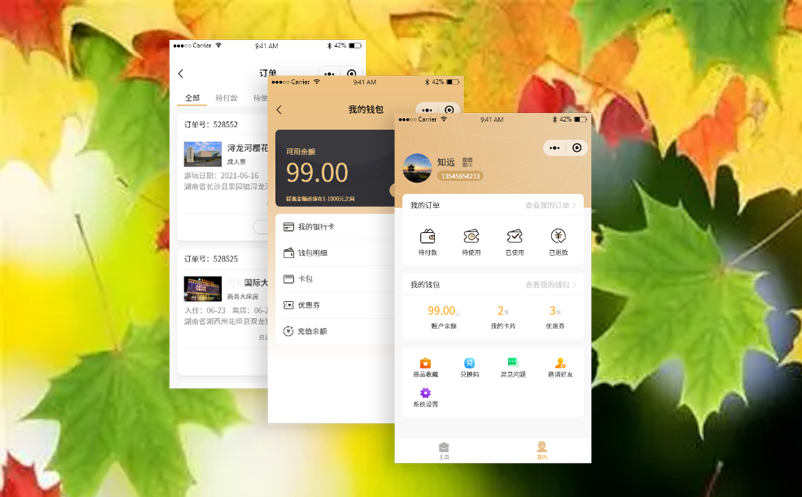 电子售检票系统 电子售检票系统