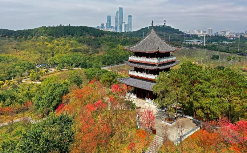 1646291039406336.png image.png