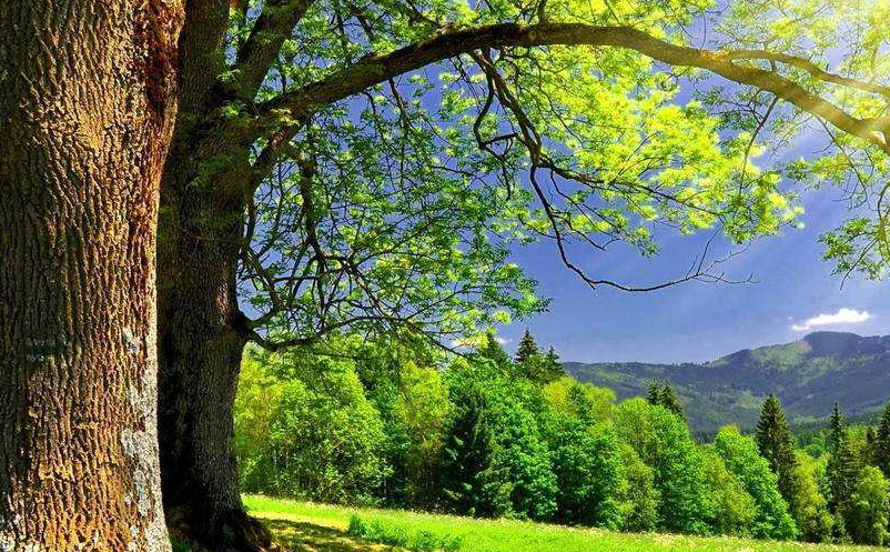 1646291461786702.png image.png