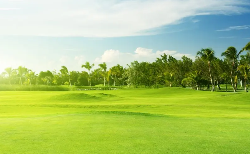 文旅部长谈2022年文化和旅游重点工作及规划举措