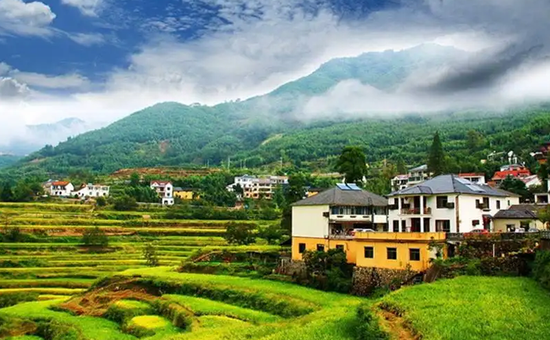 1647842167652981.png image.png