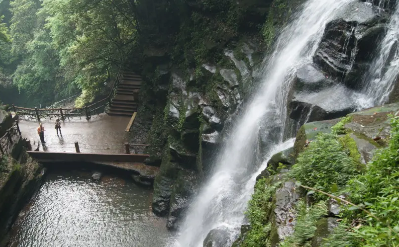 1650009538534193.png image.png