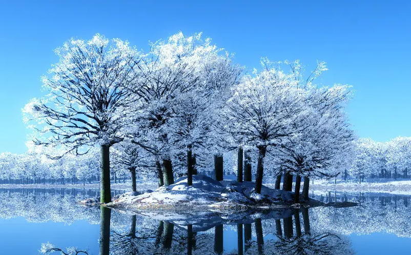 1650866953476234.png image.png