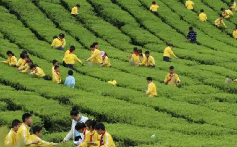 1651211290264635.png image.png