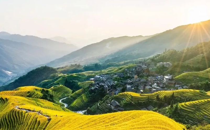 1652259006787825.png image.png